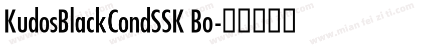 KudosBlackCondSSK Bo字体转换